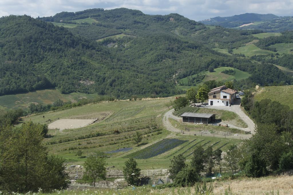 B&B Villa Rossana Langhirano Exteriér fotografie