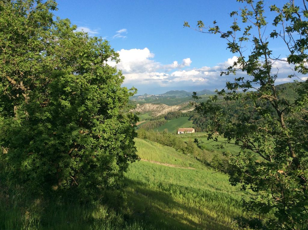 B&B Villa Rossana Langhirano Exteriér fotografie