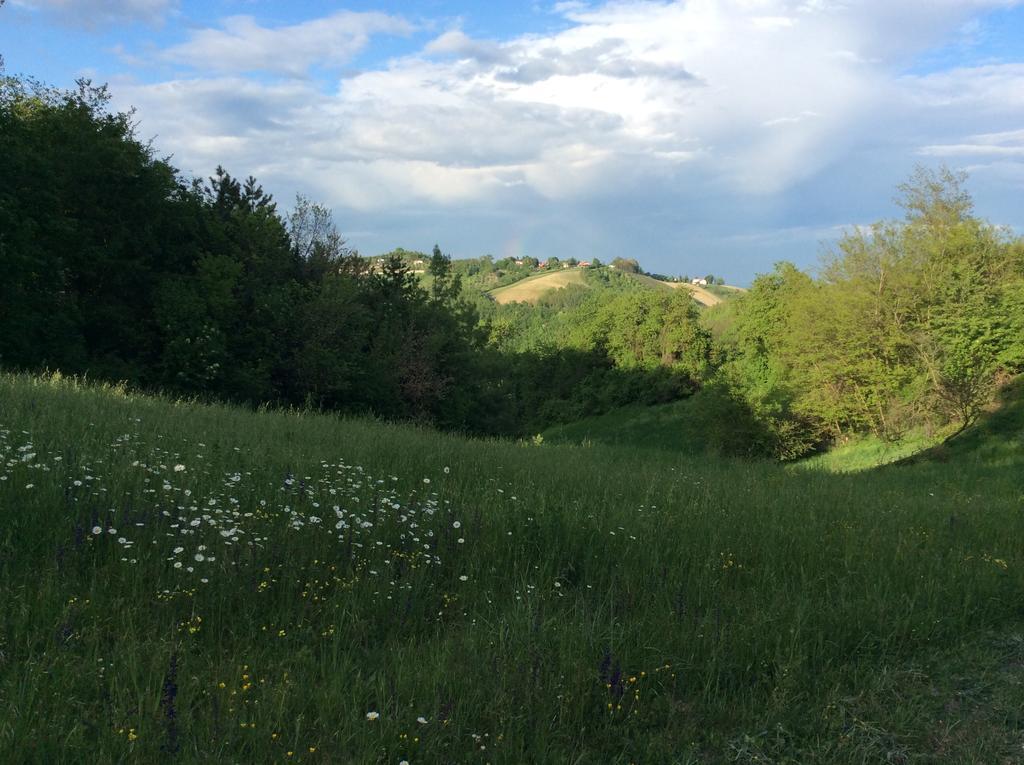 B&B Villa Rossana Langhirano Exteriér fotografie