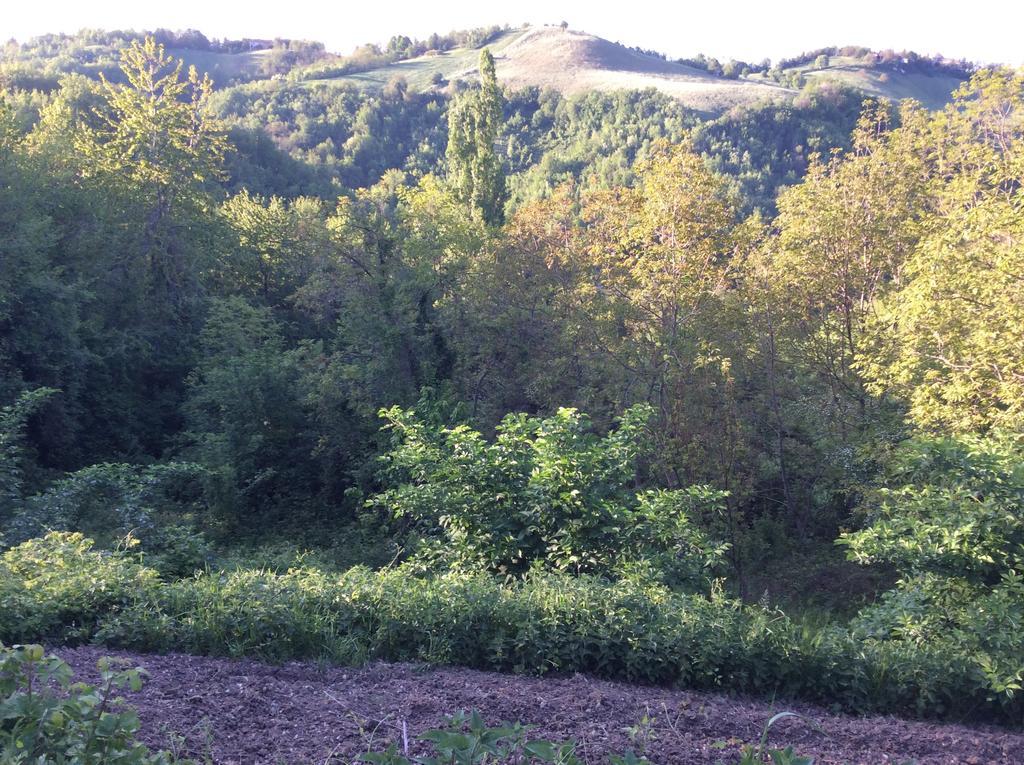 B&B Villa Rossana Langhirano Exteriér fotografie